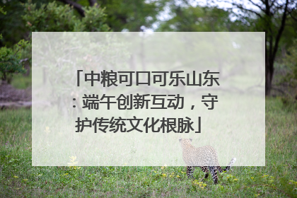 中粮可口可乐山东：端午创新互动，守护传统文化根脉