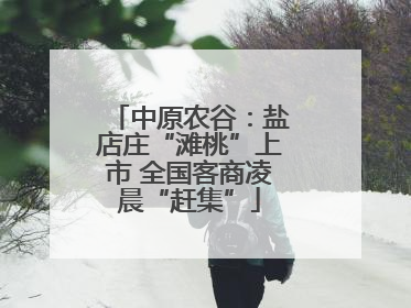 中原农谷：盐店庄“滩桃”上市 全国客商凌晨“赶集”