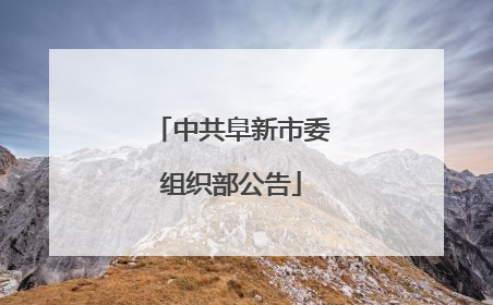 中共阜新市委组织部公告