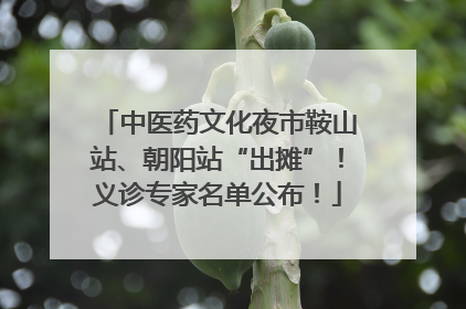 中医药文化夜市鞍山站、朝阳站“出摊”！义诊专家名单公布！