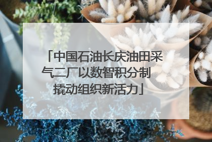 中国石油长庆油田采气二厂以数智积分制 撬动组织新活力
