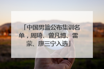 中国男篮公布集训名单，周琦、曾凡博、雷蒙、廖三宁入选
