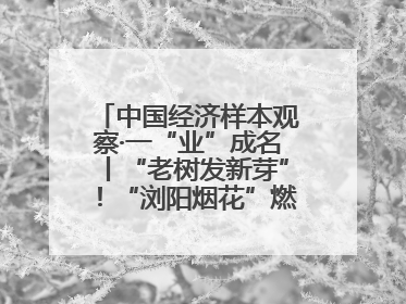 中国经济样本观察·一“业”成名丨“老树发新芽”！“浏阳烟花”燃亮世界