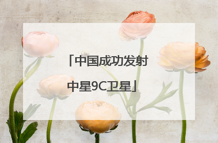 中国成功发射中星9C卫星