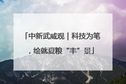 中新武威观｜科技为笔，绘就夏粮“丰”景