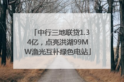 中行三地联贷1.34亿，点亮洪湖99MW渔光互补绿色电站