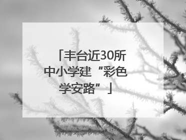 丰台近30所中小学建“彩色学安路”