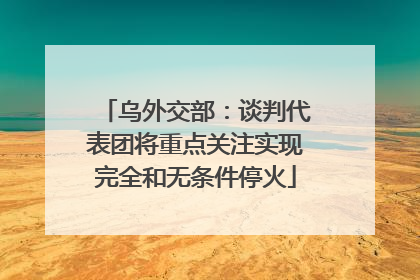 乌外交部：谈判代表团将重点关注实现完全和无条件停火