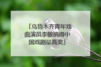 乌鲁木齐青年戏曲演员李敏摘得中国戏剧最高奖
