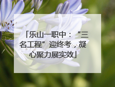 乐山一职中：“三名工程”迎终考，凝心聚力展实效