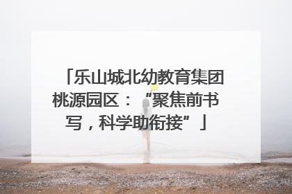 乐山城北幼教育集团桃源园区：“聚焦前书写，科学助衔接”