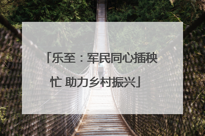 乐至：军民同心插秧忙 助力乡村振兴
