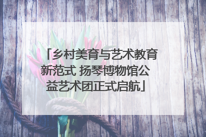 乡村美育与艺术教育新范式 扬琴博物馆公益艺术团正式启航