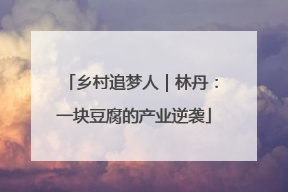 乡村追梦人｜林丹：一块豆腐的产业逆袭
