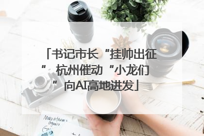 书记市长“挂帅出征” 杭州催动“小龙们”向AI高地进发