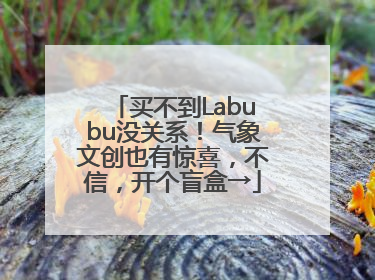 买不到Labubu没关系！气象文创也有惊喜，不信，开个盲盒→