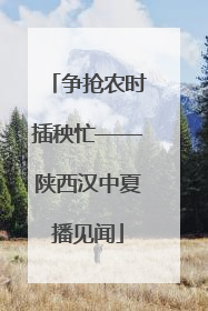 争抢农时插秧忙——陕西汉中夏播见闻