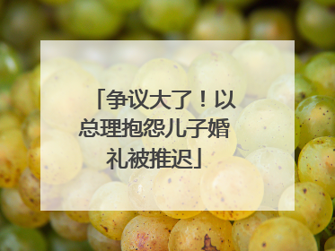 争议大了！以总理抱怨儿子婚礼被推迟