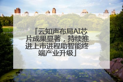 云知声布局AI芯片成果显著，持续推进上市进程助智能终端产业升级