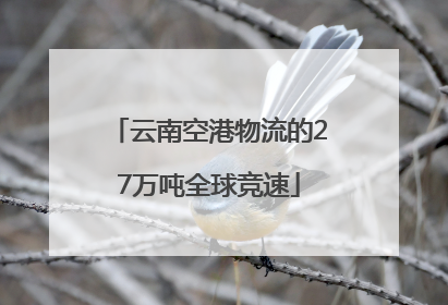 云南空港物流的27万吨全球竞速