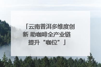 云南普洱多维度创新 助咖啡全产业链提升“咖位”