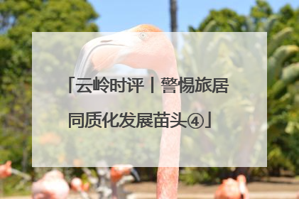 云岭时评丨警惕旅居同质化发展苗头④