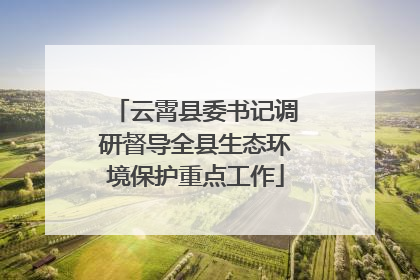 云霄县委书记调研督导全县生态环境保护重点工作