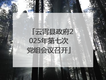 云霄县政府2025年第七次党组会议召开