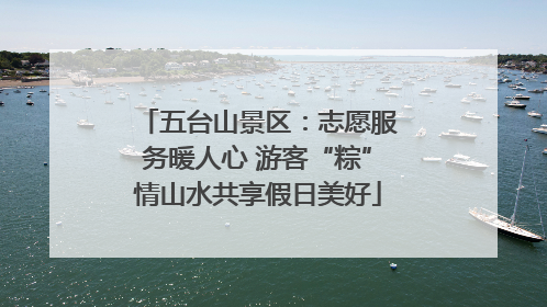五台山景区：志愿服务暖人心 游客“粽”情山水共享假日美好