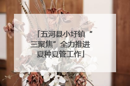 五河县小圩镇“三聚焦”全力推进夏种夏管工作