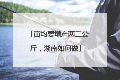 亩均要增产两三公斤，湖南如何做