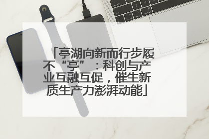 亭湖向新而行步履不“亭”：科创与产业互融互促，催生新质生产力澎湃动能