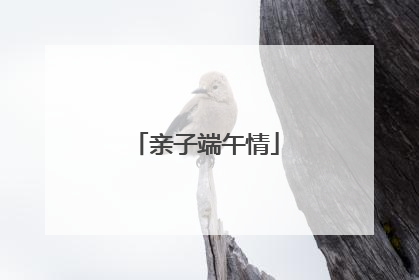 亲子端午情