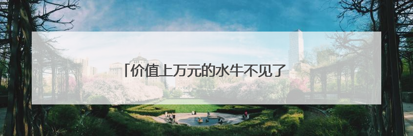 价值上万元的水牛不见了 民警用无人机发现其踪迹