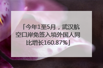 今年1至5月，武汉航空口岸免签入境外国人同比增长160.87%