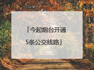 今起烟台开通5条公交线路