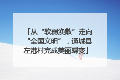 从“软弱涣散”走向“全国文明”，通城县左港村完成美丽蝶变