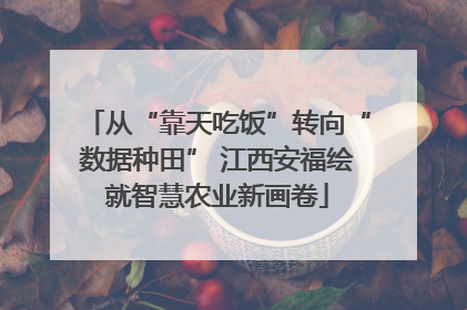 从“靠天吃饭”转向“数据种田” 江西安福绘就智慧农业新画卷
