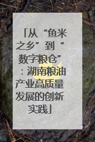 从“鱼米之乡”到“数字粮仓”：湖南粮油产业高质量发展的创新实践