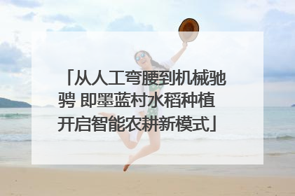 从人工弯腰到机械驰骋 即墨蓝村水稻种植开启智能农耕新模式