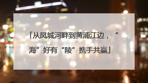 从凤城河畔到黄浦江边，“海”好有“陵”携手共赢