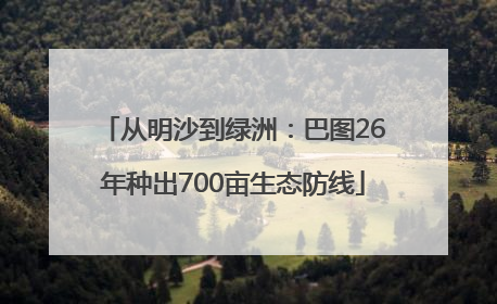 从明沙到绿洲：巴图26年种出700亩生态防线