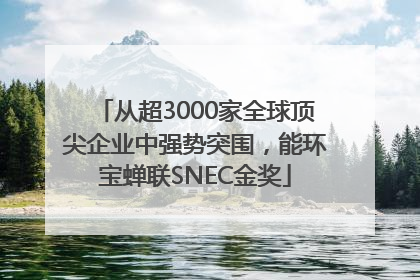 从超3000家全球顶尖企业中强势突围，能环宝蝉联SNEC金奖
