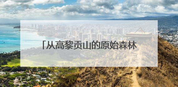 从高黎贡山的原始森林木屋到石家庄边检站的三尺验证台，他用18年的青春丈量祖国的边境线