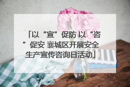 以“宣”促防 以“咨”促安 襄城区开展安全生产宣传咨询日活动