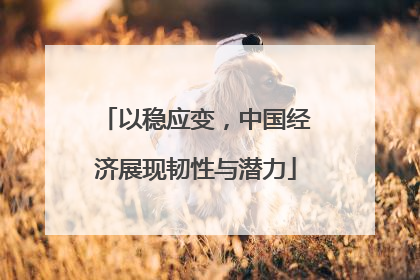 以稳应变，中国经济展现韧性与潜力