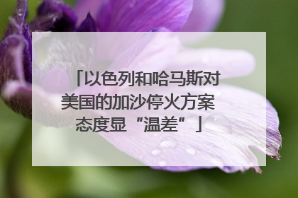 以色列和哈马斯对美国的加沙停火方案态度显“温差”