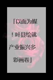 以面为媒！叶县绘就产业振兴多彩画卷
