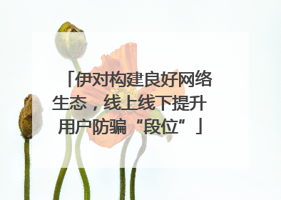 伊对构建良好网络生态，线上线下提升用户防骗“段位”