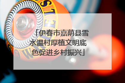 伊春市嘉荫县雪水温村厚植文明底色促进乡村振兴